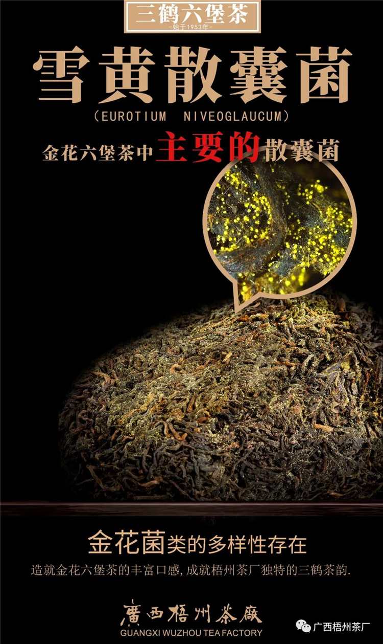 微信圖片_20200407083315_副本.jpg