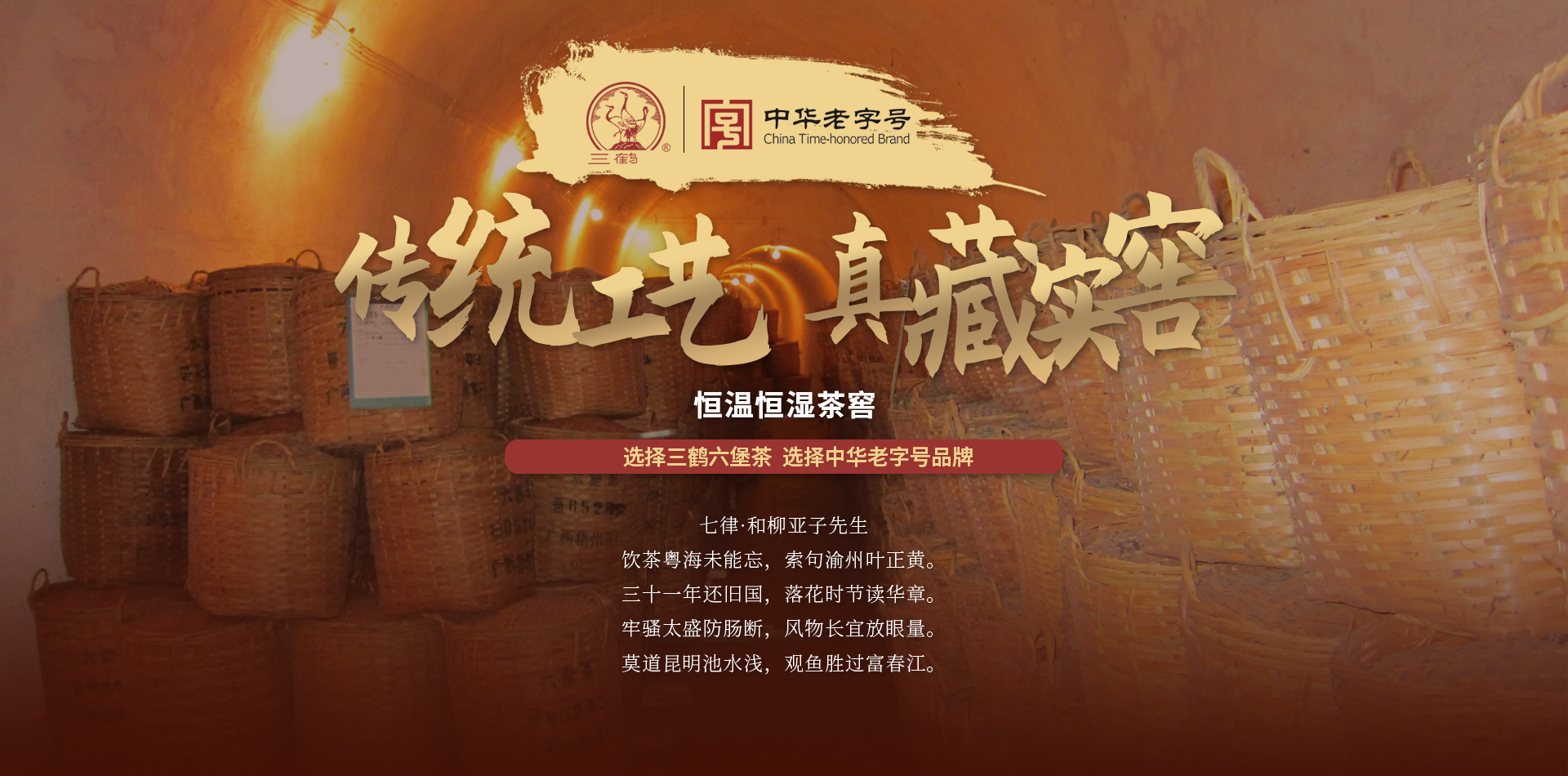 廣西三鶴六堡茶生產廠家